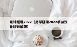 足球经理2022（足球经理2022手游汉化版破解版）