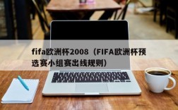 fifa欧洲杯2008（FIFA欧洲杯预选赛小组赛出线规则）