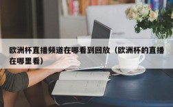 欧洲杯直播频道在哪看到回放（欧洲杯的直播在哪里看）