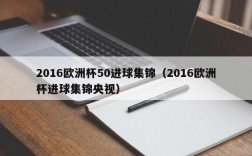 2016欧洲杯50进球集锦（2016欧洲杯进球集锦央视）